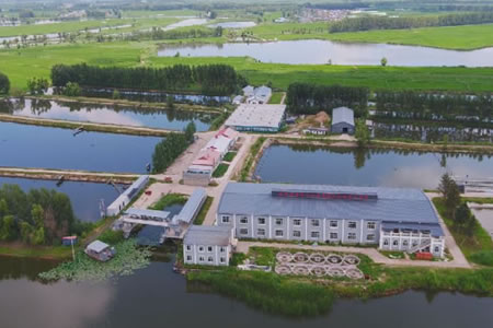 ؖ|Ы@ҵһr(nng)I(y)r(nng)岿ˮa(chn)B(yng)ֳF(xin)r(nng)I(y)ƼԇʾءQ̖